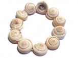 Schnecken-Muschelarmband 18 mm